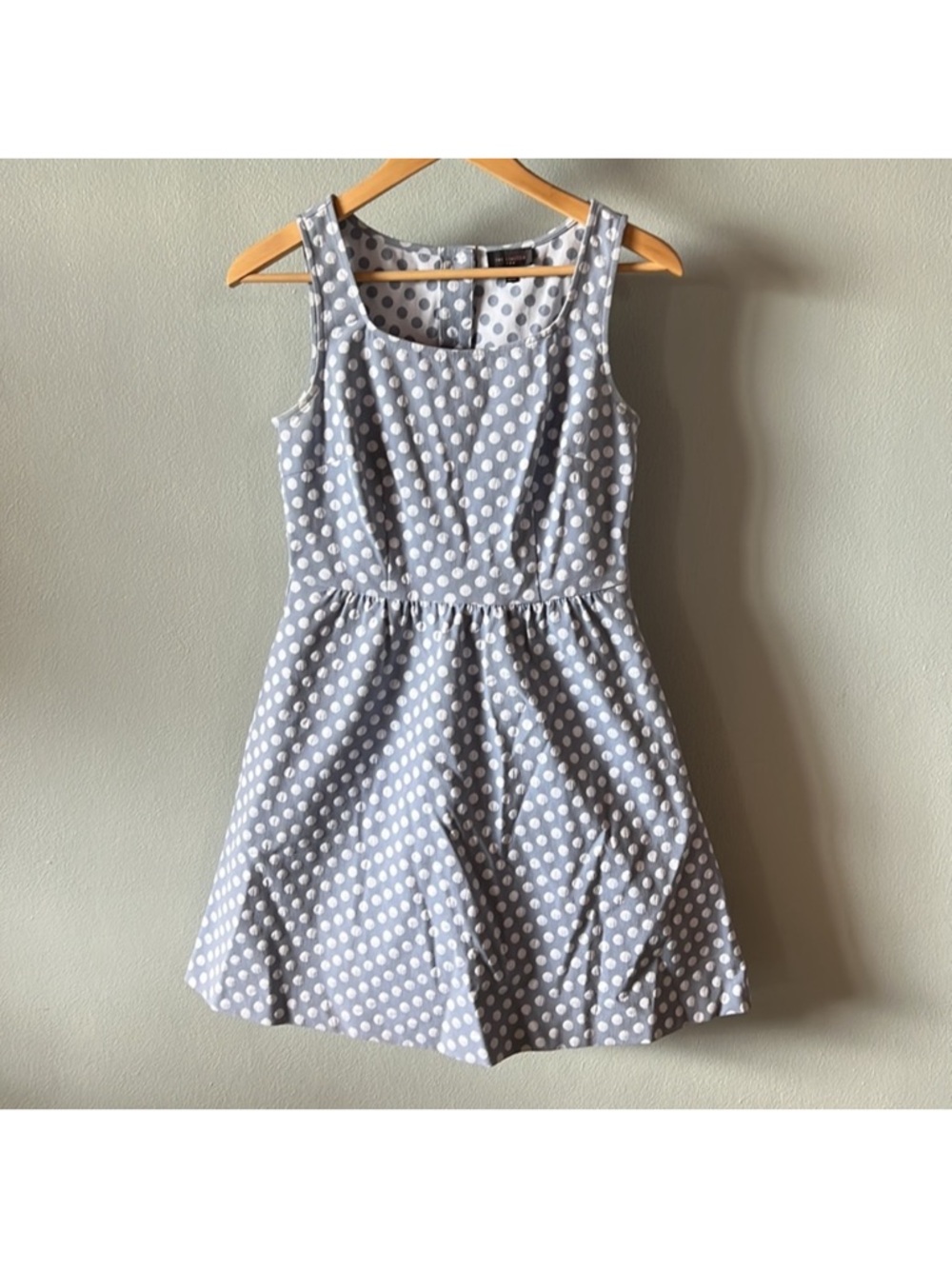 The Limited Blue and White Polka Dot Dress